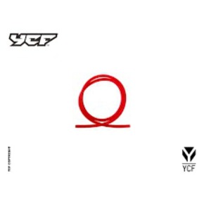 Nunc congue dui nec...